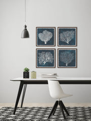 Inverse Sea Fan V Quadriptych