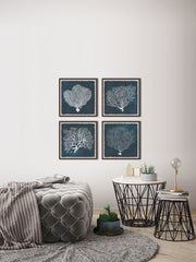Inverse Sea Fan V Quadriptych
