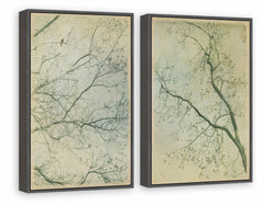 Tree Branches Diptych