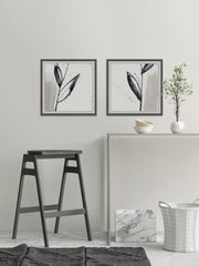 Blush Flower Splash XII Diptych