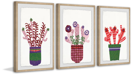 Cheerful Succulent VIII Triptych