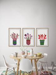 Cheerful Succulent VIII Triptych