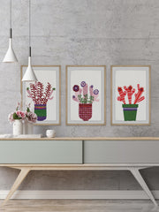 Cheerful Succulent VIII Triptych