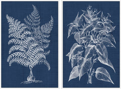 Plant Blues Diptych