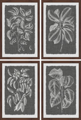 Grayed Leaves Quadriptych