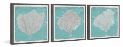 Graphic Sea Fan IX Triptych
