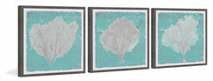 Graphic Sea Fan IX Triptych