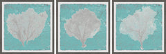 Graphic Sea Fan IX Triptych