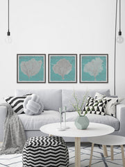 Graphic Sea Fan IX Triptych