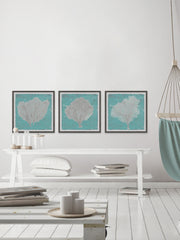 Graphic Sea Fan IX Triptych