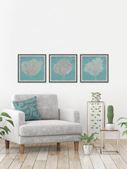 Graphic Sea Fan IX Triptych