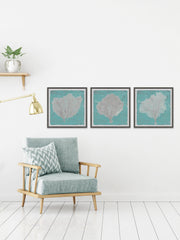 Graphic Sea Fan IX Triptych