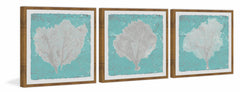 Graphic Sea Fan IX Triptych