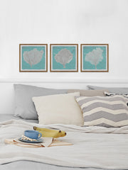 Graphic Sea Fan IX Triptych