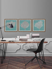 Graphic Sea Fan IX Triptych
