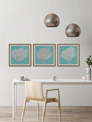Graphic Sea Fan IX Triptych