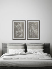 Plant Structure Diptych