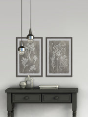 Plant Structure Diptych