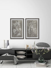 Plant Structure Diptych