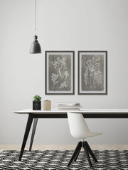 Plant Structure Diptych