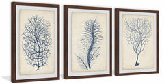 Indigo Coral VII Triptych