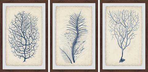 Indigo Coral VII Triptych
