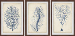Indigo Coral VII Triptych