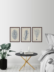 Indigo Coral VII Triptych