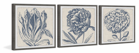 Flower Sketches Triptych