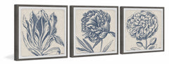 Flower Sketches Triptych