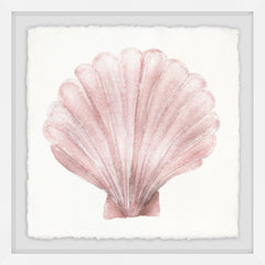 Coquille Saint Jacques