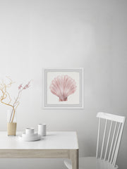 Coquille Saint Jacques