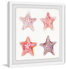 Etoiles de Mer
