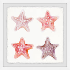 Etoiles de Mer