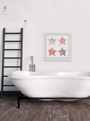 Etoiles de Mer