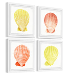 Sea Shells Wonder Quadriptych