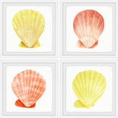 Sea Shells Wonder Quadriptych