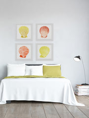 Sea Shells Wonder Quadriptych