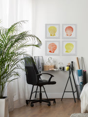 Sea Shells Wonder Quadriptych