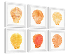 Sea Shells Wonder II Hexaptych