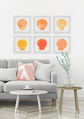 Sea Shells Wonder II Hexaptych