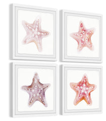 Starfish Gaze Quadriptych