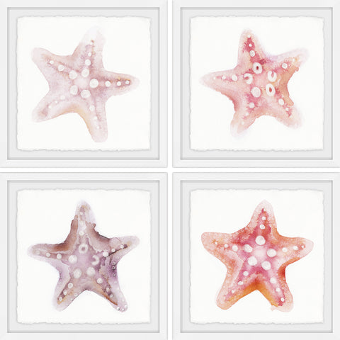Starfish Gaze Quadriptych