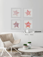 Starfish Gaze Quadriptych