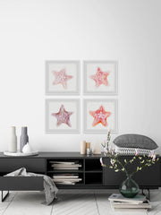 Starfish Gaze Quadriptych