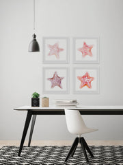 Starfish Gaze Quadriptych