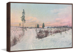 Snow Scene