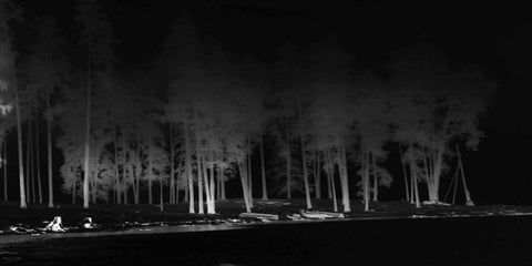 Ghost Trees