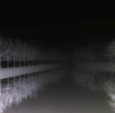 Tree Tunnel