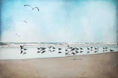 Sea Blue